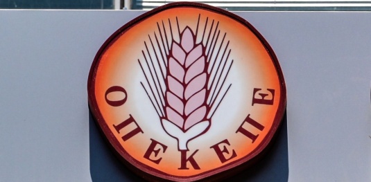 Στιγμιότυπο από τα γραφεία του Οργανισμού Πληρωμών και Ελέγχου Κοινοτικών Ενισχύσεων Προσανατολισμού και Εγγυήσεων (ΟΠΕΚΕΠΕ), Παρασκευή 27 Ιουνίου 2025. (ΤΑΤΙΑΝΑ ΜΠΟΛΑΡΗ/EUROKINISSI)