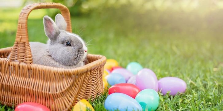 easter bunny