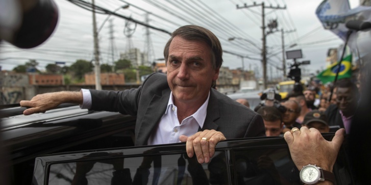 cebolsonaro000_18n3mx.jpg