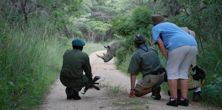 cemalawirhino.jpg