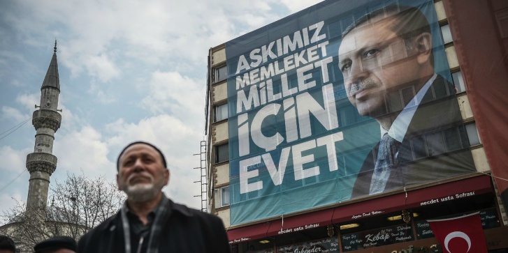 cerdogan000_n03zr.jpg