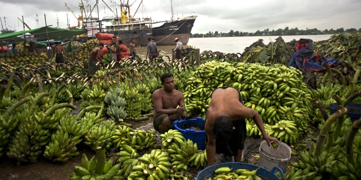 cover-bananas.jpg