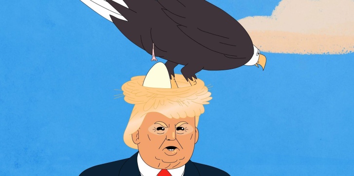 cover-d.jpg