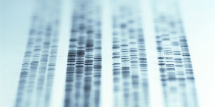 cover-dna.jpg