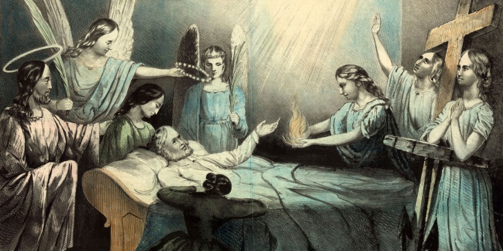 cover-flu2.jpg