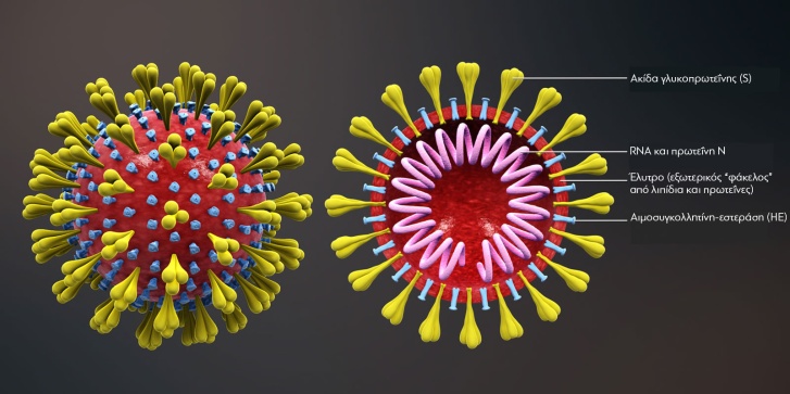 dna.jpg