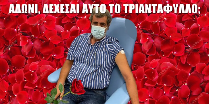 elias.jpg