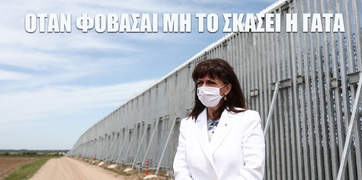 ili.jpg