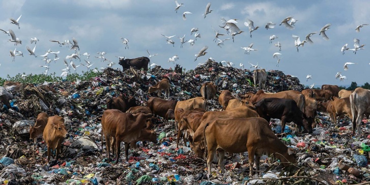 plastic.jpg