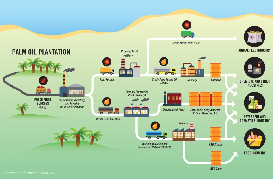 the_great_palm_oil_scandal_lr-19.jpg
