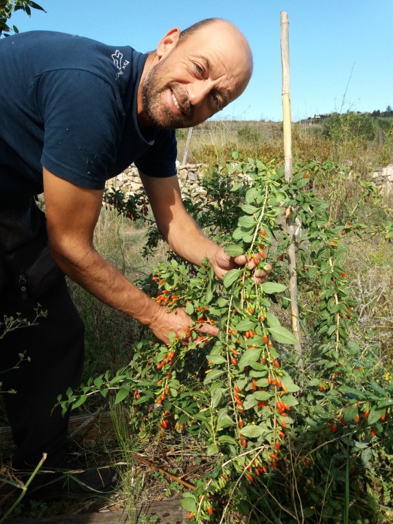 agrotisparosileia20201011_110352.jpg