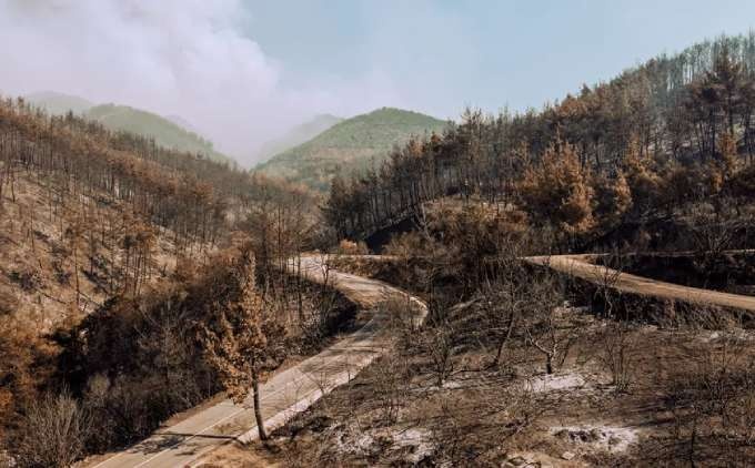 Καμένη γη στα Παπικιά στη Ροδόπη.
