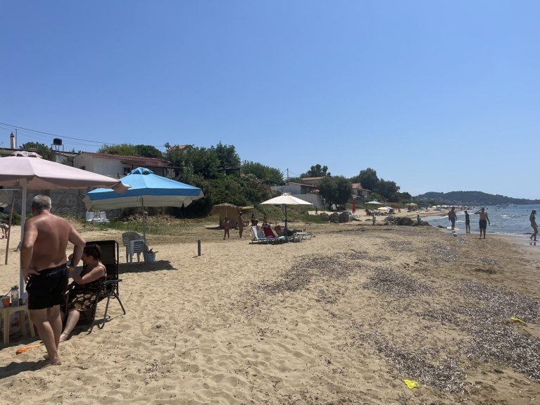 Ομπρέλες ιδιωτών σε παραλία της Πελοποννήσου.