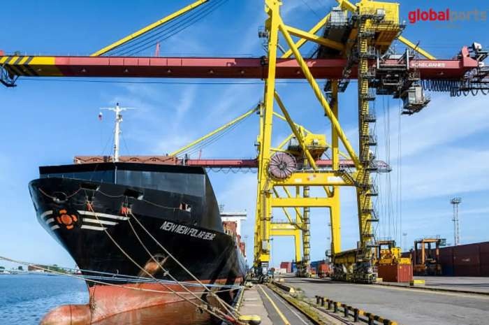 The NewNew Polar Bear, a Hong Kong flagged ship owned by a Chinese firm. Image: Global Ports