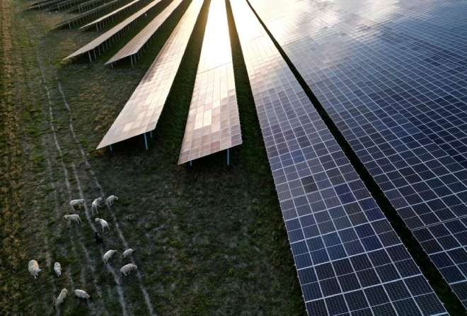 Europe's solar panel manufacturers ask EU for emergency support