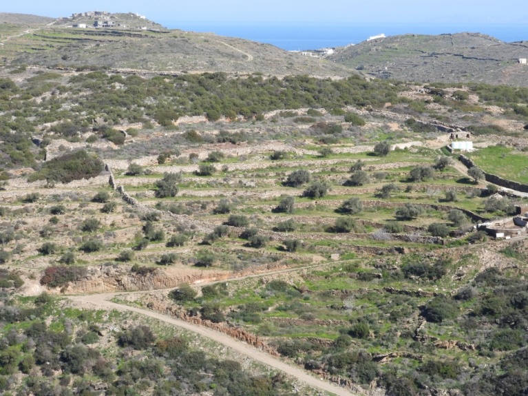 Νέος δρόμος προς ιδιοκτησία εκτός σχεδίου πίσω από την παραλία της Χρυσοπηγής. [Γιάννης Παλαιολόγος]