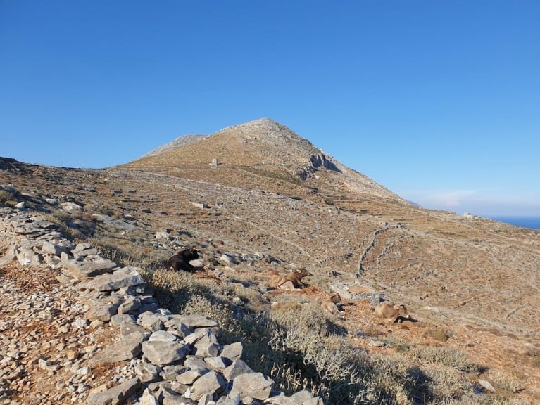 Όψη της περιοχής.