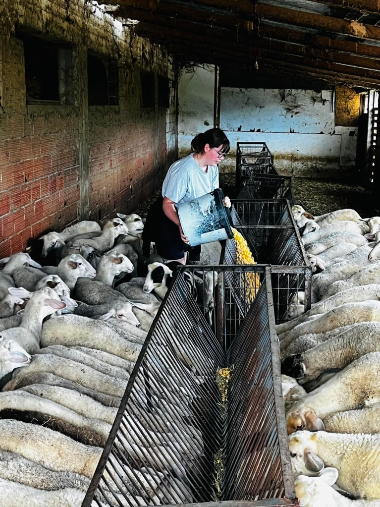 moschosfarm