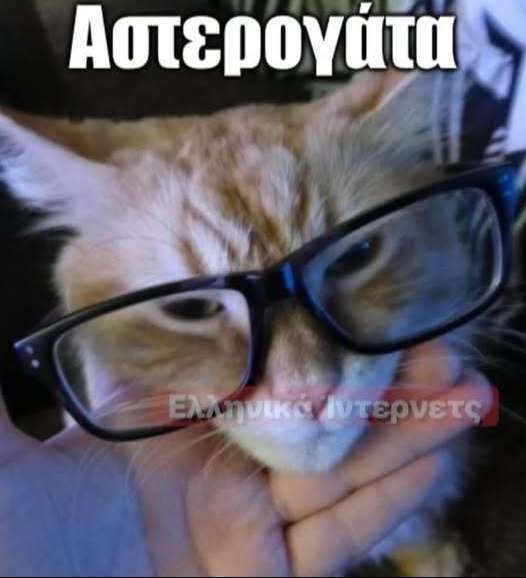αστερογάτα