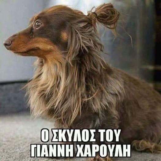 xadoulis