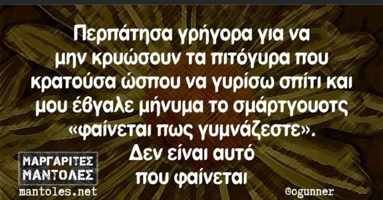 πιτογυρα