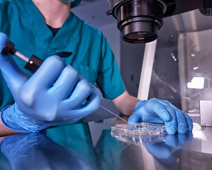 Lab-grown sperm and eggs just a few years away, scientists say