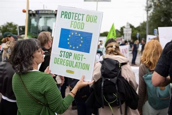 European Parliament's approval of new GMOs marks turning point for agriculture sector