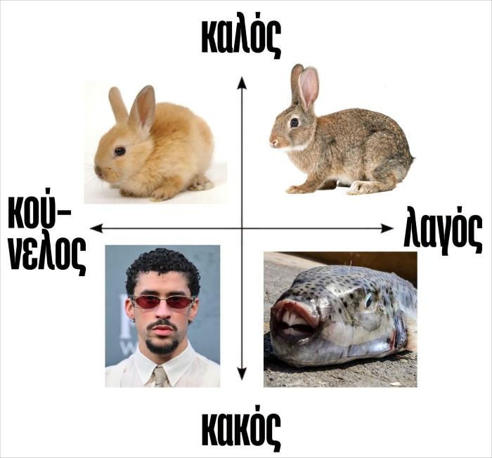 bunny