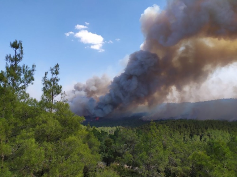 [Αρχείο Βασίλης Ζαφειρόπουλος]