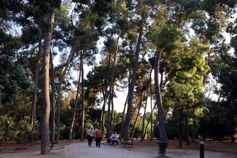 Πεδίο του Άρεως