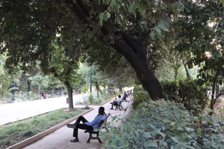 Πεδίο του Άρεως