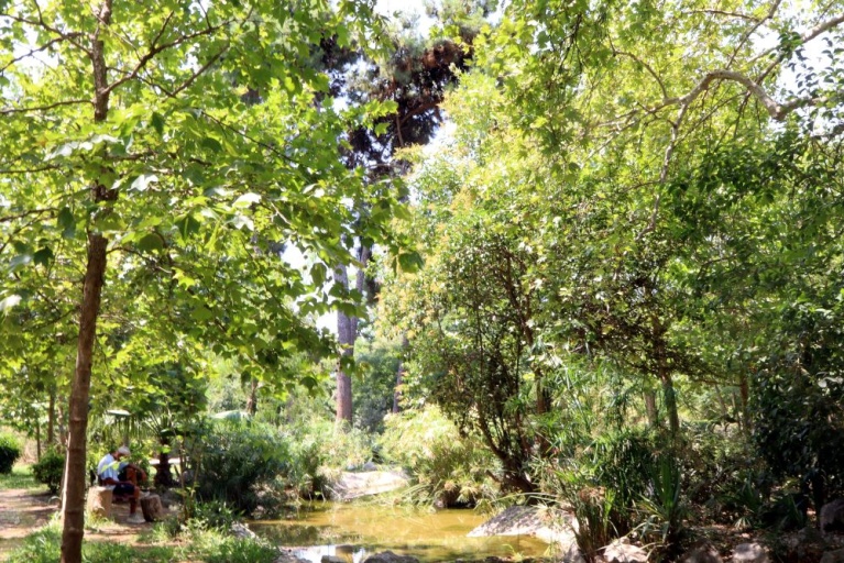 Η υδάτινη διαδρομή με τις νεροχελώνες, είναι ένα από τα πολλά μικρά οικολογικά «διαμάντια» του πάρκου.Η υδάτινη διαδρομή με τις νεροχελώνες, είναι ένα από τα πολλά μικρά οικολογικά «διαμάντια» του πάρκου.