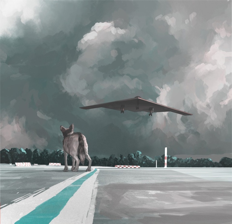 608819cf3_1.jpg