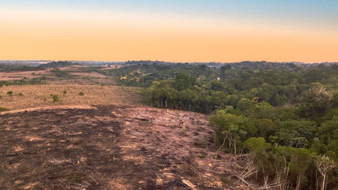 amazon-rainforest-is-probably-making-climate-change-worse-now.jpg