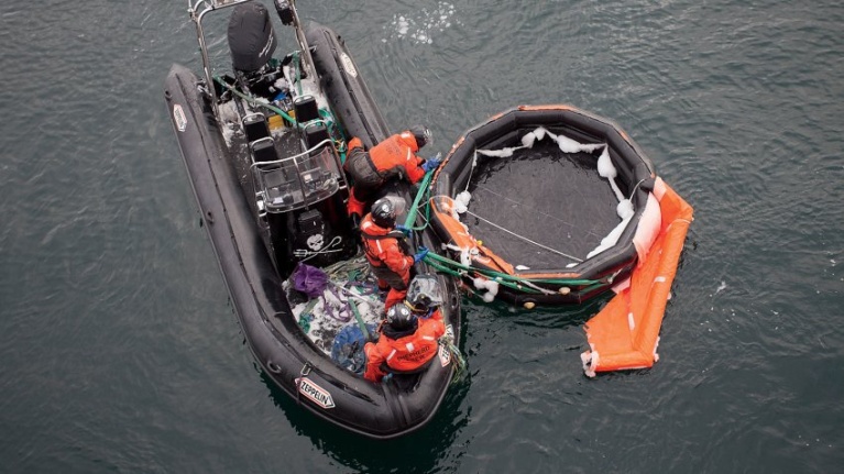 barbara_veigasea_shepherd.jpg