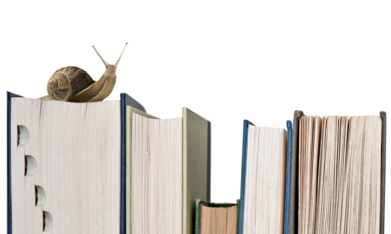 booksslow.jpg