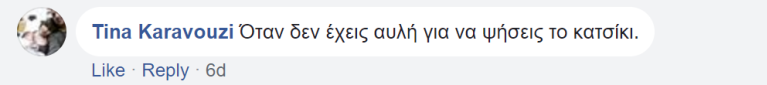cabrio2.png