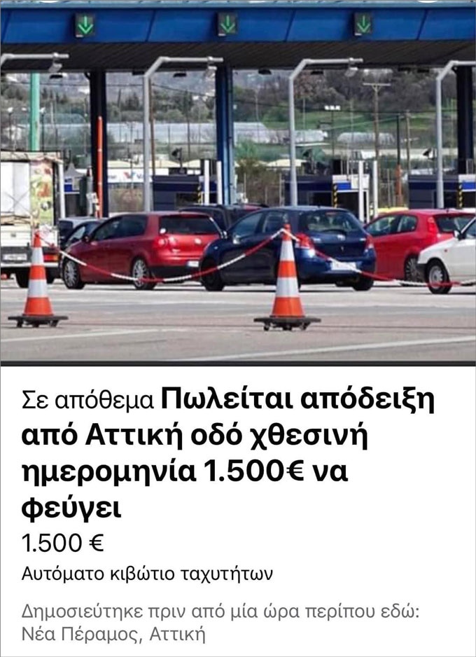 diodia.jpg
