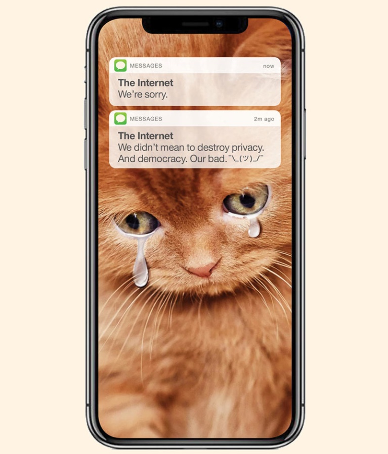 internet-cat.jpg