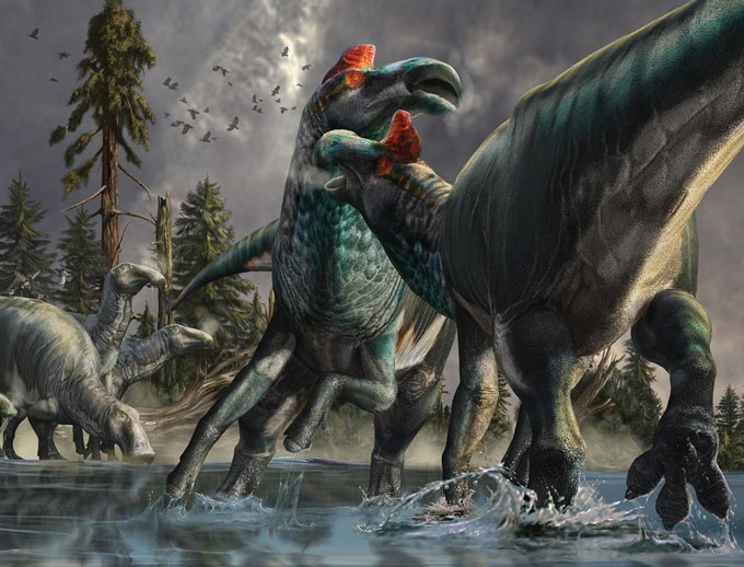 reimagining-dinosaurs-edmontosaurus.jpg