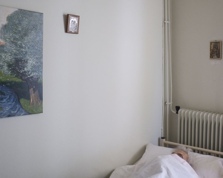 stegi4.jpg