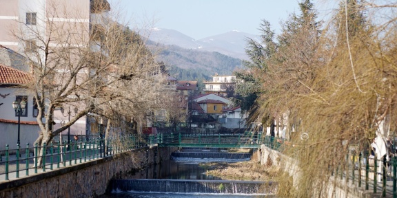 ceflorina5806342.jpg