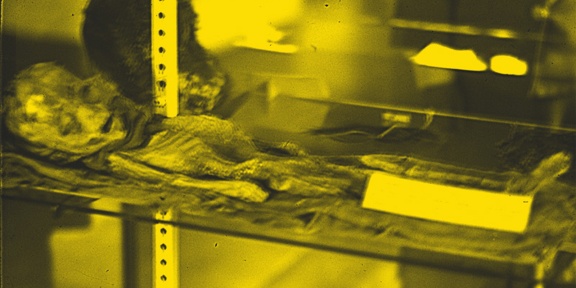 cover-10.jpg