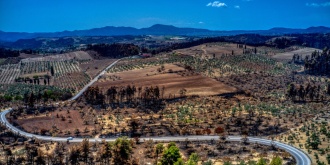 Καταστροφές από τη μεγάλη πυρκαγιά του 2021, κοντά στην Αγία Άννα της Εύβοιας στις 22 Αυγούστου 2021. [Eurokinissi] 