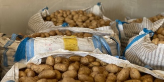 patates.jpg