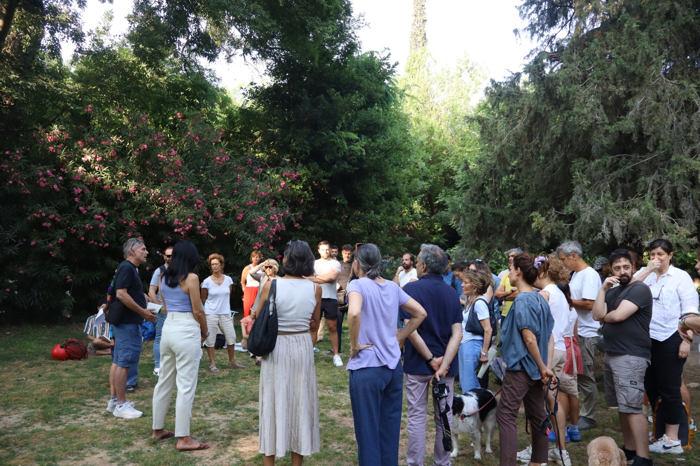 Στιγμιότυπο 3